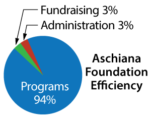 Aschiana Foundation Efficiency